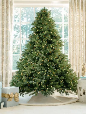 10' Cypress Spruce Artificial Christmas Tree with 2300 Warm White & Multi-Color LED Lights