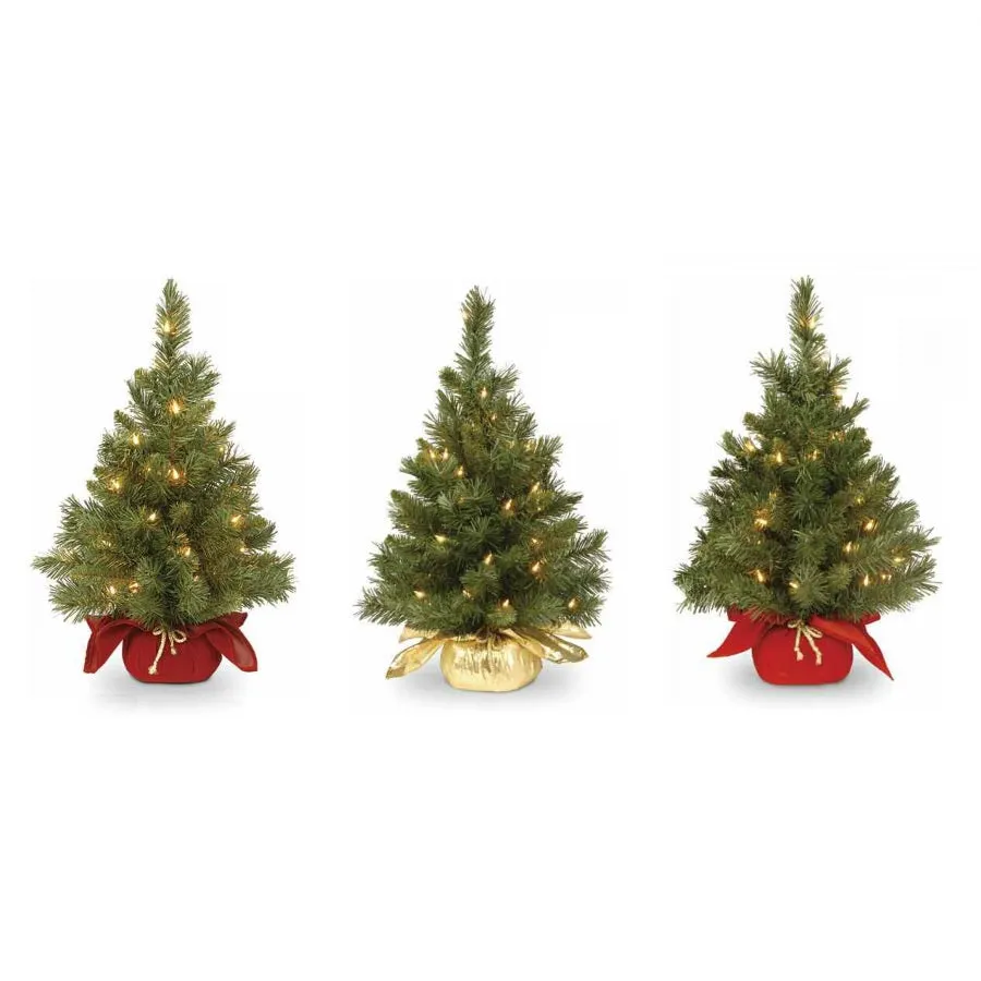 24" Majestic Fir Pre-Lit Potted Foyer Tree