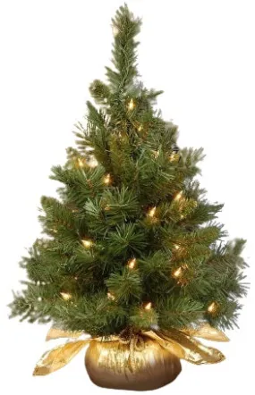 24" Majestic Fir Pre-Lit Potted Foyer Tree