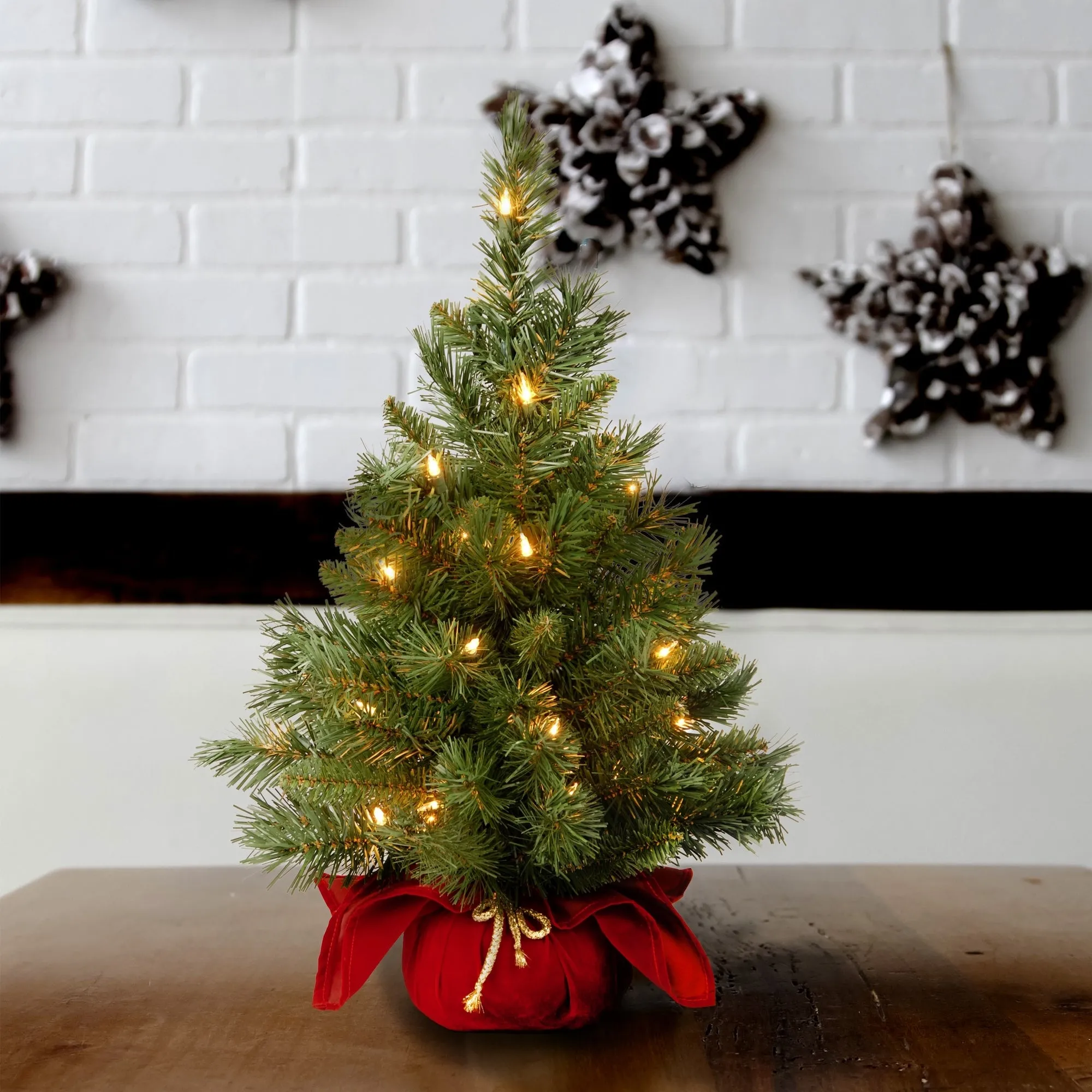 24" Majestic Fir Pre-Lit Potted Foyer Tree