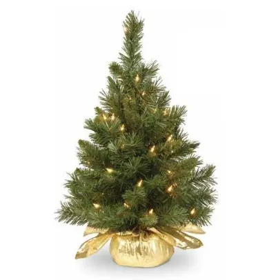 24" Majestic Fir Pre-Lit Potted Foyer Tree