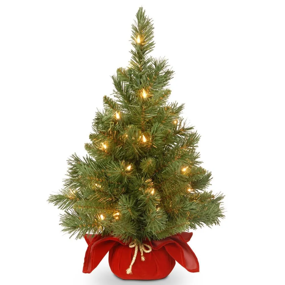 24" Majestic Fir Pre-Lit Potted Foyer Tree