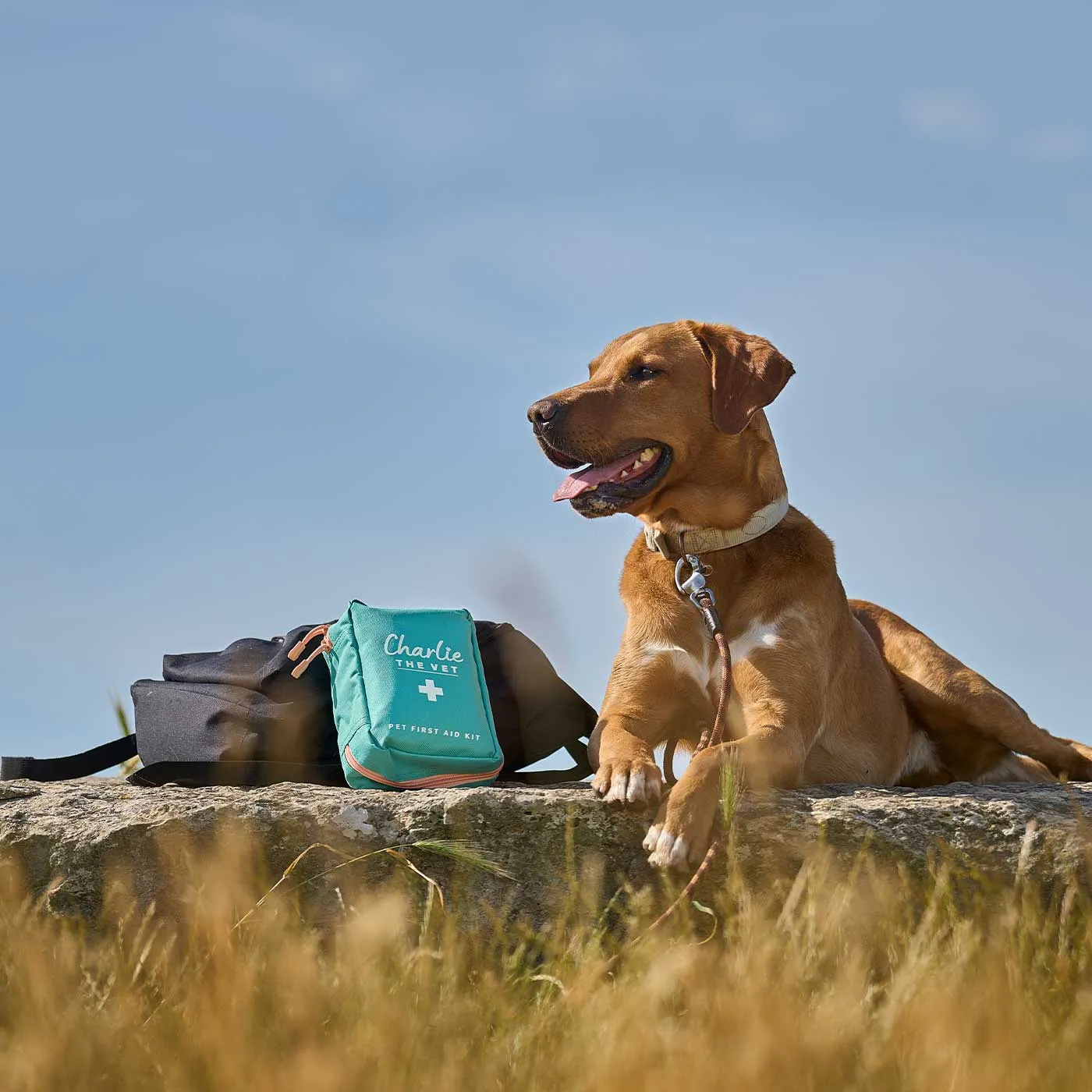 Charlie The Vet Pet First Aid Kit