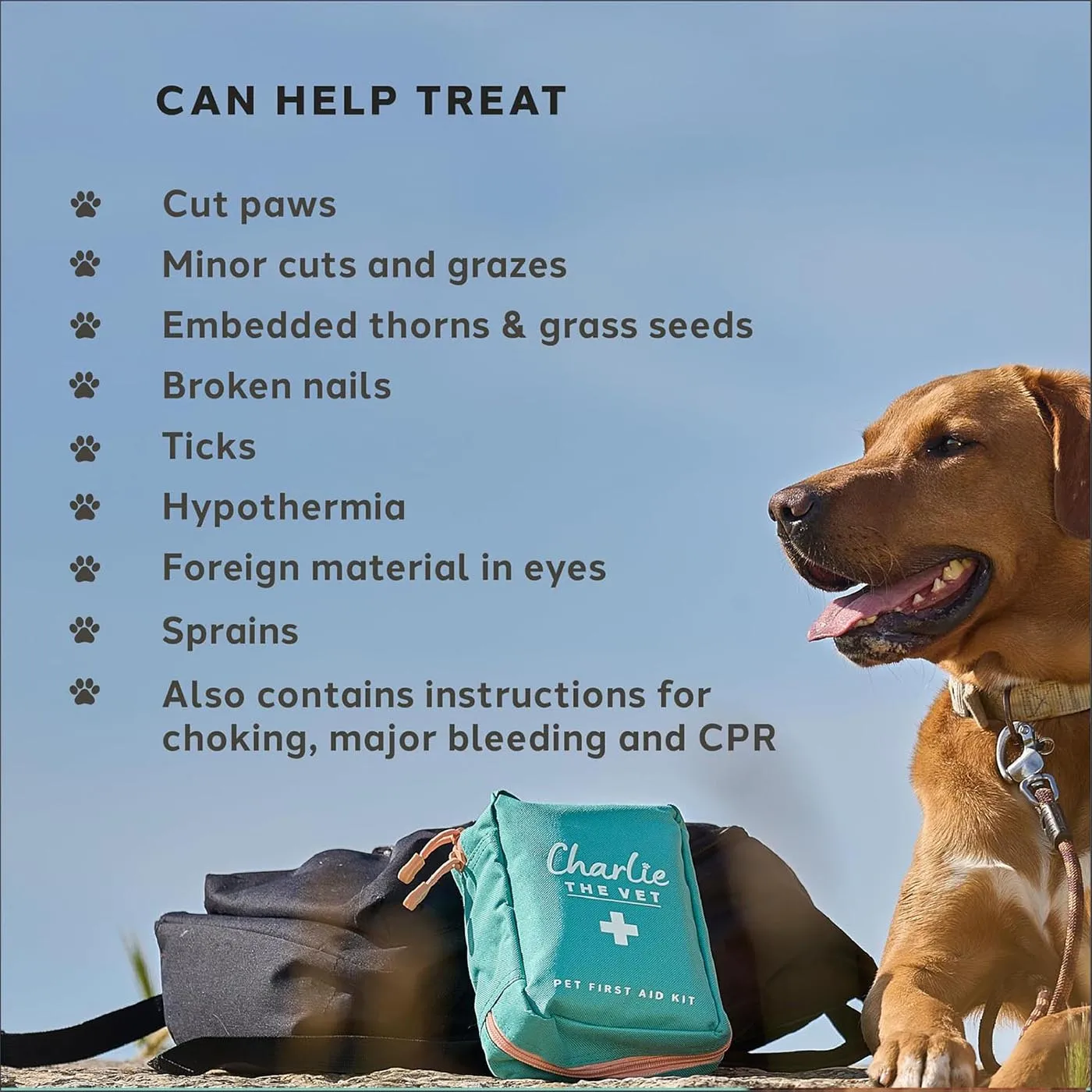 Charlie The Vet Pet First Aid Kit