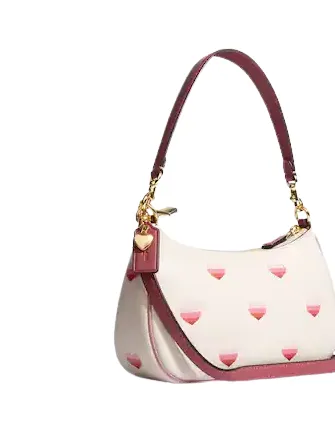 Coach Teri Shoulder Bag With Stripe Heart Print