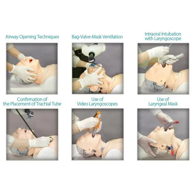 Difficult Airway Management Simulator