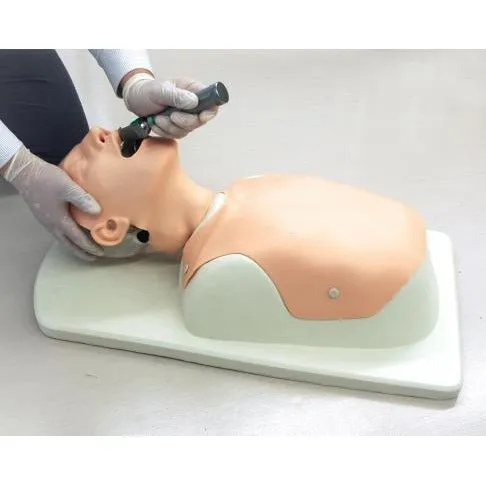 Difficult Airway Management Simulator