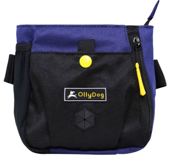 Olly Dog Backcountry Day Bag