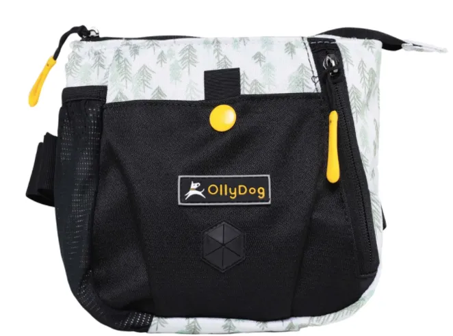 Olly Dog Backcountry Day Bag