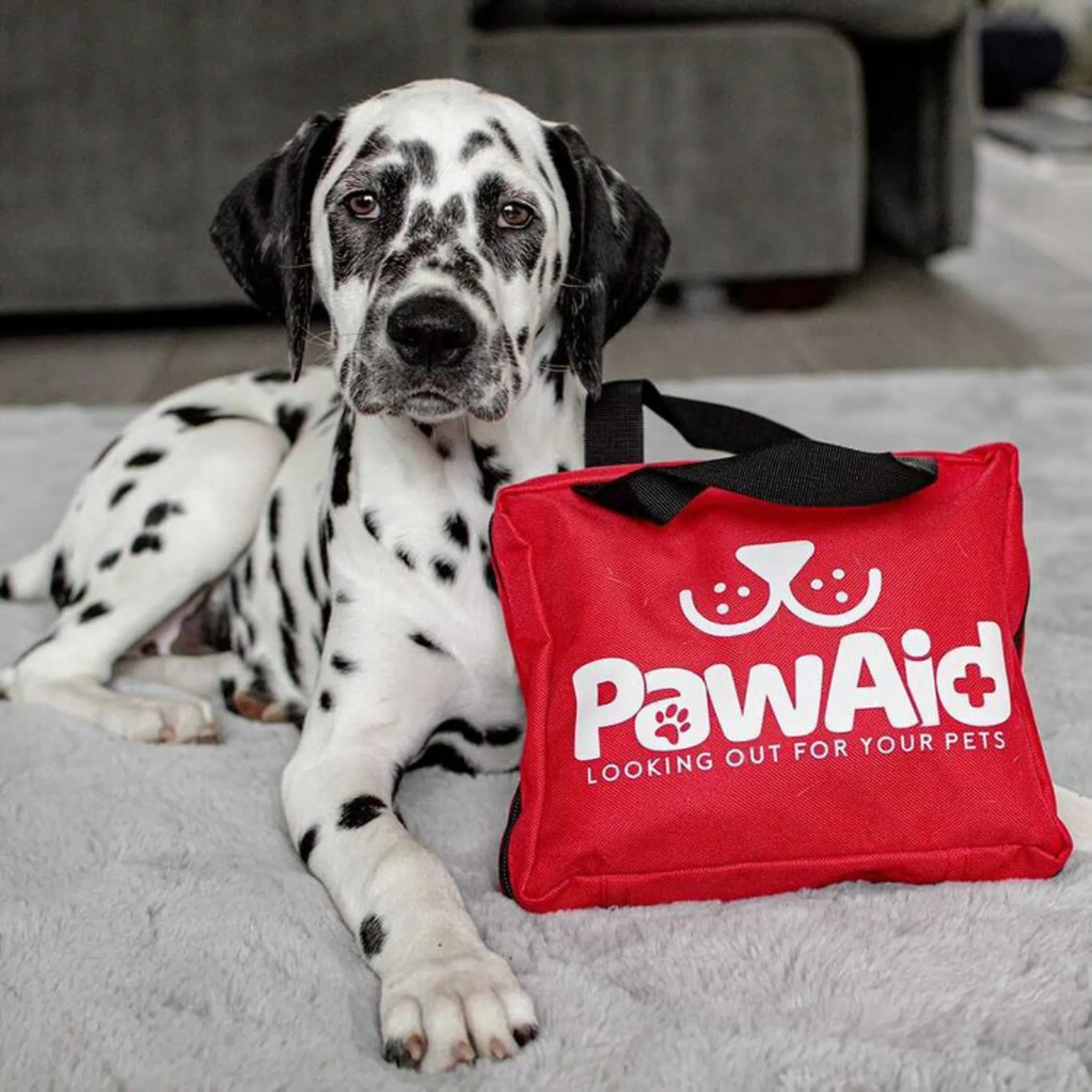 Pet First Aid Kit